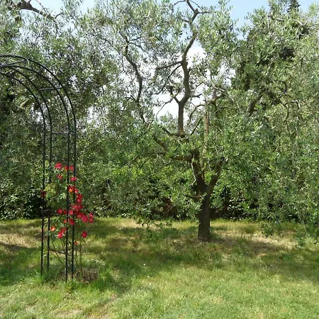 Podere San Pierino Apartman *