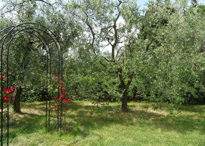 Podere San Pierino 公寓 *